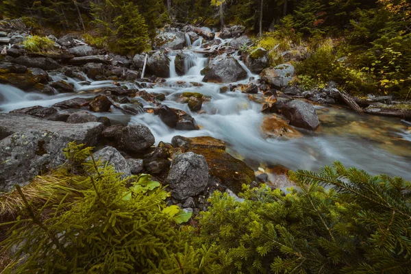 Cascade Dans Les Montagnes Automne — Photo