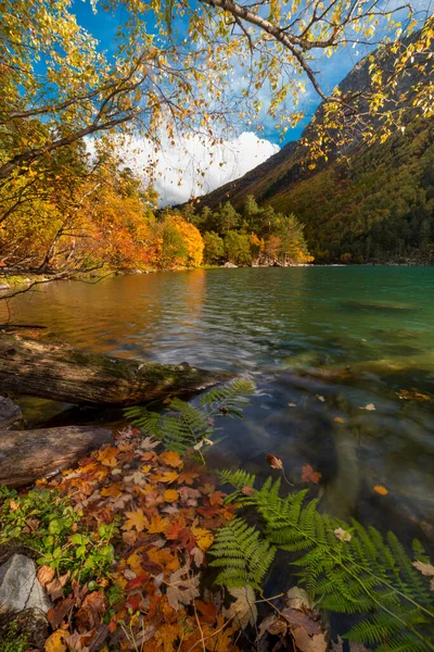 Lago Vicino Alla Foresta Autunno — Foto Stock