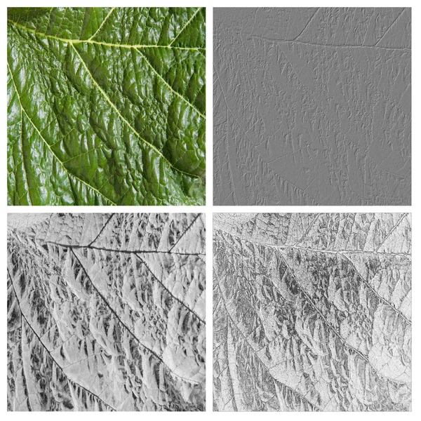 Green Leaf Texture Set — Stock Photo, Image