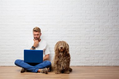 sarışın yakışıklı bir köpek ve bir taşınabilir bilgisayar ile