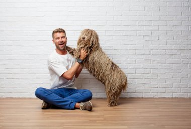 sarışın yakışıklı ile a köpek oynama ve zevk