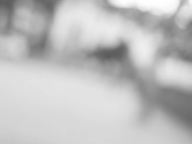 odaklanmamış soyut bokeh arka plan sizin kavramı yerleştirmek için