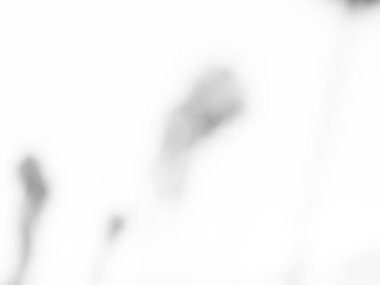 odaklanmamış soyut bokeh arka plan sizin kavramı yerleştirmek için