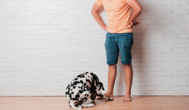 Genç sakallı adam beyaz tuğla karşı Dalmaçyalı köpekli duvar arka plan