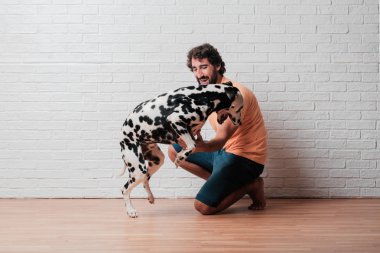 Genç sakallı adam beyaz tuğla karşı Dalmaçyalı köpekli duvar arka plan