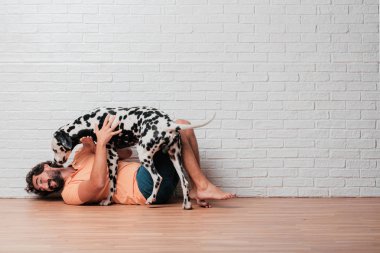 Genç sakallı adam beyaz tuğla karşı Dalmaçyalı köpekli duvar arka plan