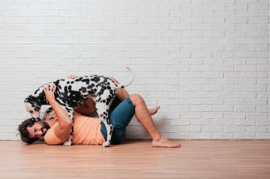 Genç sakallı adam beyaz tuğla karşı Dalmaçyalı köpekli duvar arka plan