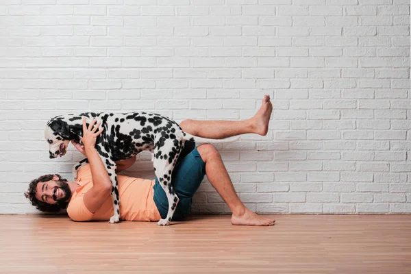 Genç sakallı adam beyaz tuğla karşı Dalmaçyalı köpekli duvar arka plan