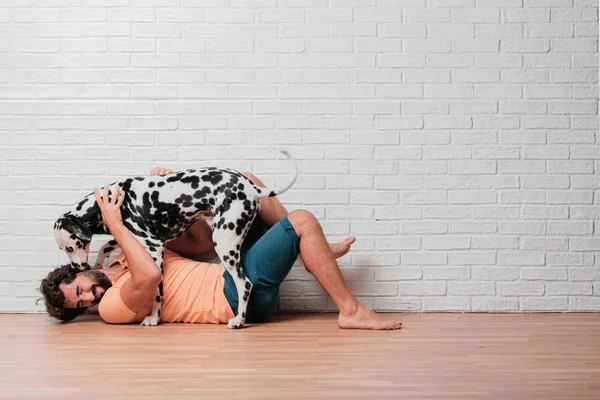 Genç sakallı adam beyaz tuğla karşı Dalmaçyalı köpekli duvar arka plan