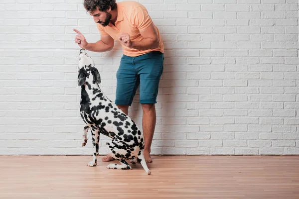 Genç sakallı adam beyaz tuğla karşı Dalmaçyalı köpekli duvar arka plan
