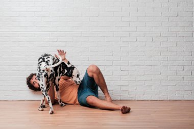 Genç sakallı adam beyaz tuğla karşı Dalmaçyalı köpekli duvar arka plan