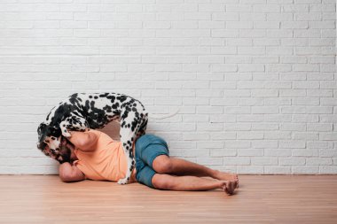 Genç sakallı adam beyaz tuğla karşı Dalmaçyalı köpekli duvar arka plan