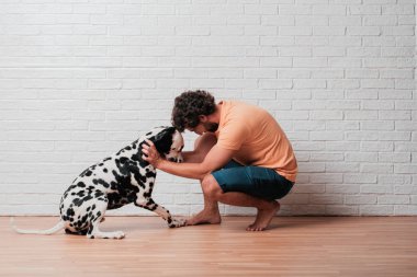 Genç sakallı adam beyaz tuğla karşı Dalmaçyalı köpekli duvar arka plan