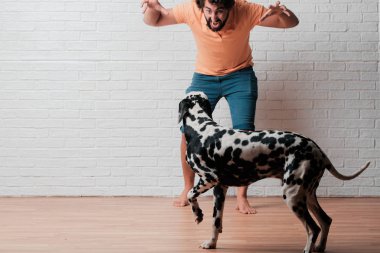 Genç sakallı adam beyaz tuğla karşı Dalmaçyalı köpekli duvar arka plan