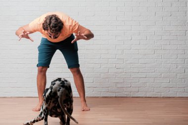 Genç sakallı adam beyaz tuğla karşı Dalmaçyalı köpekli duvar arka plan