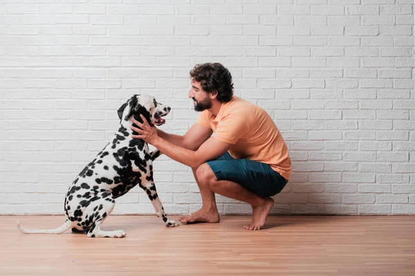 Pemuda Berjenggot Dengan Anjing Dalmatian Dengan Latar Belakang Dinding Bata — Stok Foto