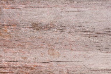 sıcak ahşap ağaç doku. ahşap arka plan veya tasarımınızı yerleştirmek için boş duvar kağıdı