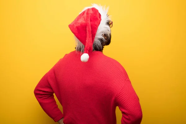 Unga Crazy Bearded Man Bär Röda Glasögon Och Jultomten Hatt — Stockfoto