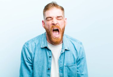 Genç kızıl saçlı adam agresif bir şekilde bağırıyor, kızgın, sinirli, öfkeli ya da sinirli görünüyor, yumuşak mavi arka plana hayır diye bağırıyor.