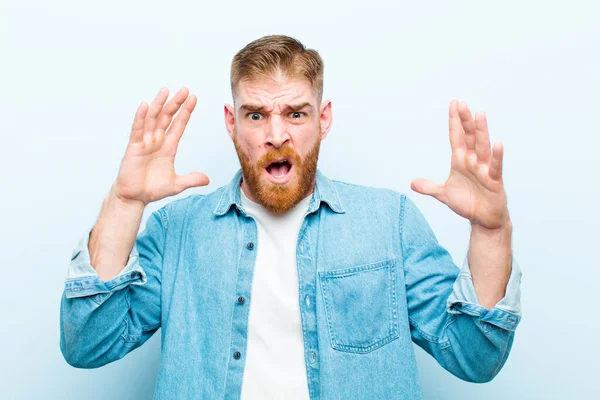 Genç Kızıl Saçlı Adam Elleri Havada Bağırıyor Öfkeli Sinirli Stresli — Stok fotoğraf