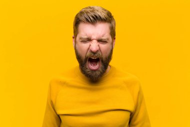 Genç sarışın adam saldırganca bağırıyor, çok kızgın, sinirli, öfkeli ya da sinirli görünüyor, turuncu duvara karşı hayır diye bağırıyor.