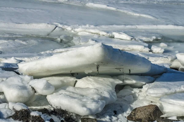 Salt water Ice stacked up along Cape Cod Bay shoreline