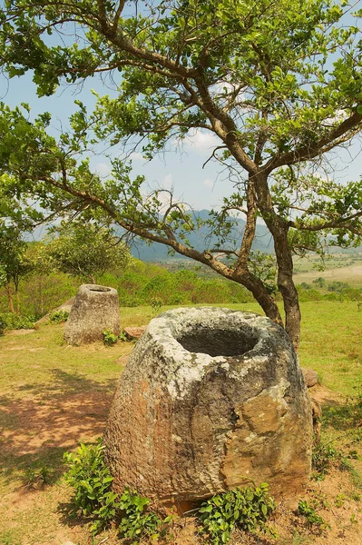 Ancient stone jars in a Plain of Jars (Site #2) near Phonsavan,  Xienghouang province, Laos