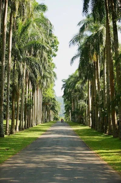 Kandy Sri Lanka Mayıs 2011 Kimliği Belirsiz Kişi Yürüyüş Tarafından — Stok fotoğraf