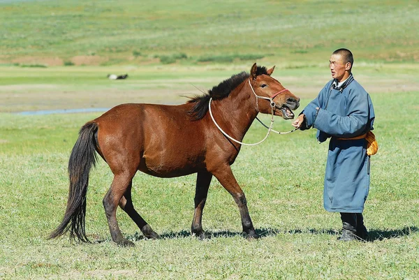 正体不明のモンゴル人が年頃ハルホリン モンゴル草原で若い野生の馬を飼いならしてハルホリン モンゴル 2006 — ストック写真