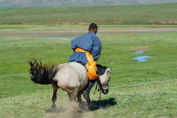 Karakorum Mongolia Sierpnia 2006 Niezidentyfikowany Mężczyzna Mongolski Oswaja Dziki Koń — Zdjęcie stockowe