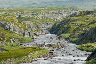 Muhteşem yaz peyzaj Hardangervidda'da Dağı Yaylası ve Norveç'te Milli Parkı.