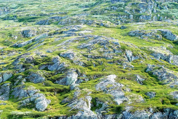 Magnífico Paisaje Verano Meseta Montañosa Hardangervidda Parque Nacional Noruega — Foto de Stock