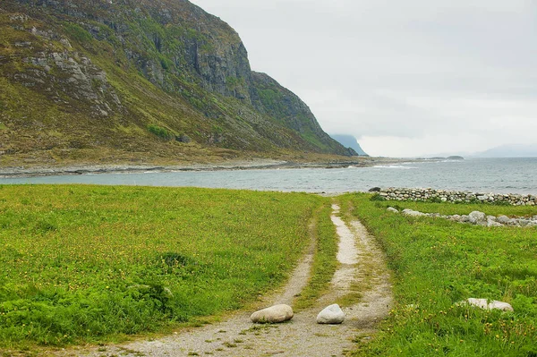 Countryside Droga Morza Latem Alnes Norwegia — Zdjęcie stockowe