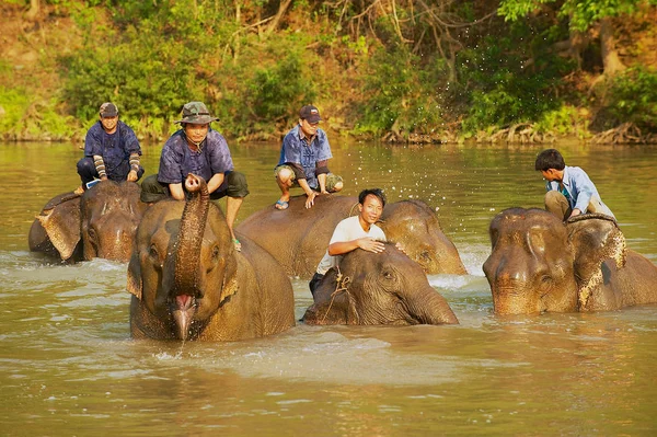 Luang Prabang Laos April 2012 Oidentifierade Laos Bada Elefanter Flod — Stockfoto