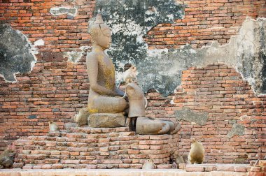 Budistsin Lopburi, Tayland Sam Yot, başlangıçta bir Hindu Tapınağı, saldırın kalıntıları antik Buda heykeli dönüştürülür.
