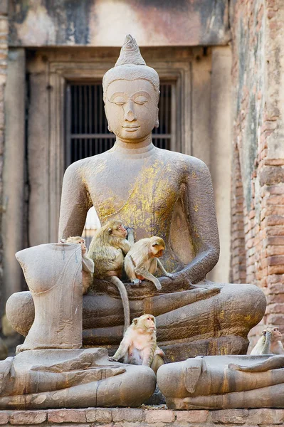 Estátua Buda Antiga Nas Ruínas Prang Sam Yot Originalmente Santuário — Fotografia de Stock