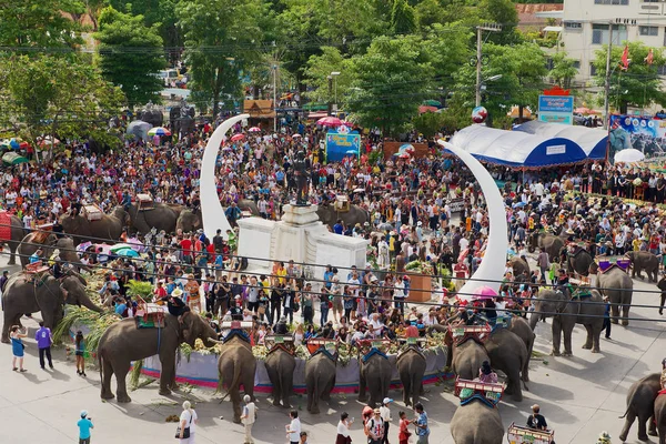 2013年11月15日タイ スリン 象はタイのスリンにあるエレファントビュッフェで餌を与えます スリン エレファント ビュッフェは世界最大の観光地で スリン市内の主要な観光地です — ストック写真