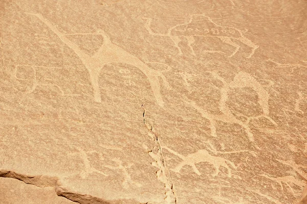 Prehistoric rock painting in the sand desert Wadi Rum, Jordan.