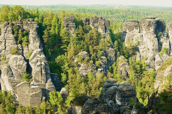 Formations Rocheuses Naturelles Bastei Dans Parc National Suisse Saxon Allemagne — Photo