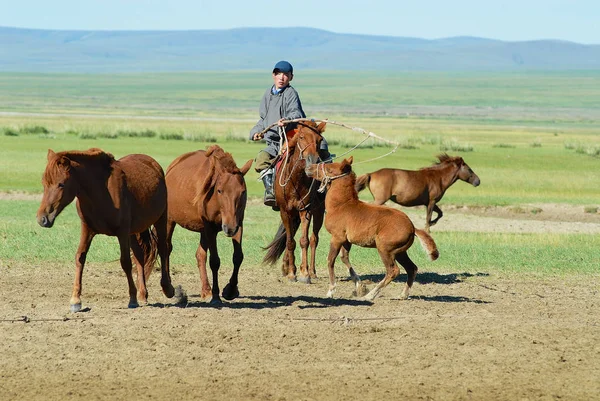 Karakorum Mongolia Sierpnia 2006 Niezidentyfikowany Mongolski Nastolatek Sobie Tradycyjny Strój — Zdjęcie stockowe