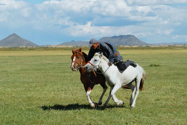 Kharkhorin 2006年8月19日 Kharkhorin 的蒙古人穿着传统服装骑着两匹野马在草原上 — 图库照片