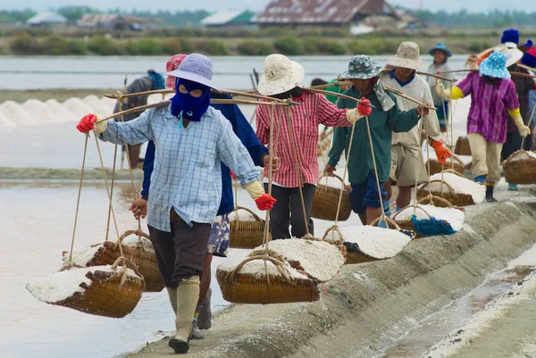 Huahin Thailand May 2008 Unidentified People Carry Salt Salt Farm — Stock Photo, Image
