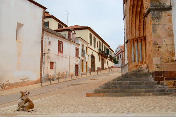 Silves Portugal Juillet 2006 Vue Sur Rue Avec Des Bâtiments — Photo