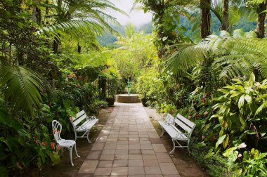 Cehennem-Bourg, Reunion - 07 Aralık 2010: Bahçe en eski sömürge Estate Maison folyo içinde cehennem-Bourg, Reunion Adası.