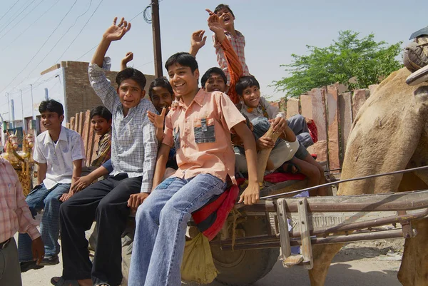 Bikaner India April 2007 Unidentified People Ride Camel Driven Cart — Stock Photo, Image