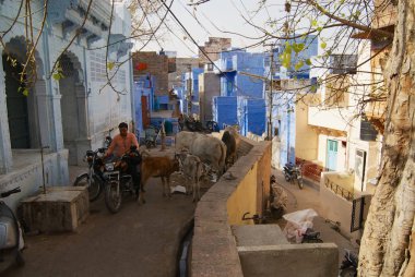 Jodhpur, Hindistan - 06 Nisan 2007: Tarihi geleneksel mavi boyalı eski binalar binalar Jodhpur, Hindistan.