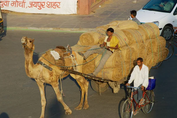 Jaipur Indaia Marzo 2007 Uomo Non Identificato Trasporta Carico Carro — Foto Stock