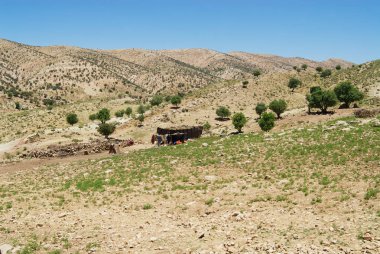 Yasuc, Iran - Haziran 21, 2007: Bahtiyari göçebe kampı Yasuc, Iran yakınındaki dağlarda. İran'ın bazı Bahtiyari insanlar hala göçebe yaşam tarzı takip, çadırlarda yaşamak ve günlük geleneksel elbise giymek.