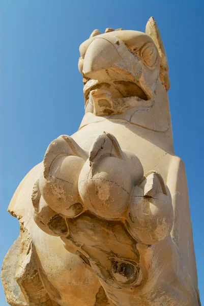 Pata y cabeza del Grifo en las ruinas de Persépolis en Shiraz, Irán . — Foto de Stock