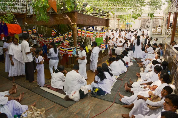 Colombo Srí Lanka Května 2011 Neznámí Lidé Slaví Náboženské Slavnosti — Stock fotografie